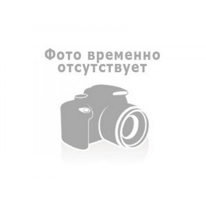 Значок Герб Московской губернии (с хрусталём) чернёный
